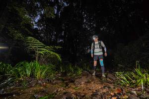 BIB: 
                            <button type="button" onclick="openModal(19245750)" class="btn btn-primary btn-sm float-right btn-popup" data-toggle="modal" data-target=".modal-high-quality">
                        <i class="fas fa-shopping-cart"></i> Add to Cart
                    </button>
                                            <button type="button" onclick="isThisMe(19245750, true)" class="btn btn-success btn-sm float-right btn-popup btn-isme hidden" data-toggle="tooltip" data-placement="bottom" title="นี่คือรูปของคุณใช่ไหม คลิกที่นี่เพื่อเอาเข้าอัลบั้ม">
                        <i class="fas fa-plus"></i> Add to album
                    </button>
                    <button type="button" onclick="isThisMe(19245750, false)" class="btn btn-warning btn-sm float-right btn-popup btn-isnotme hidden">
                        <i class="fas fa-ban"></i> Remove from album
                    </button>